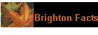Brighton Facts