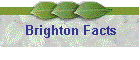 Brighton Facts