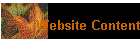Website Content