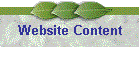 Website Content